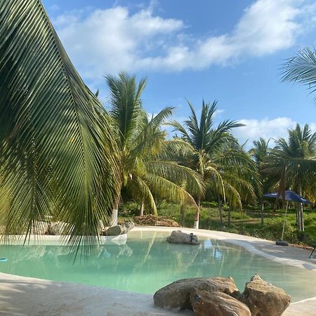 Casa Las Palmas Playa La Saladita Zihuatanejo Eksteriør bilde