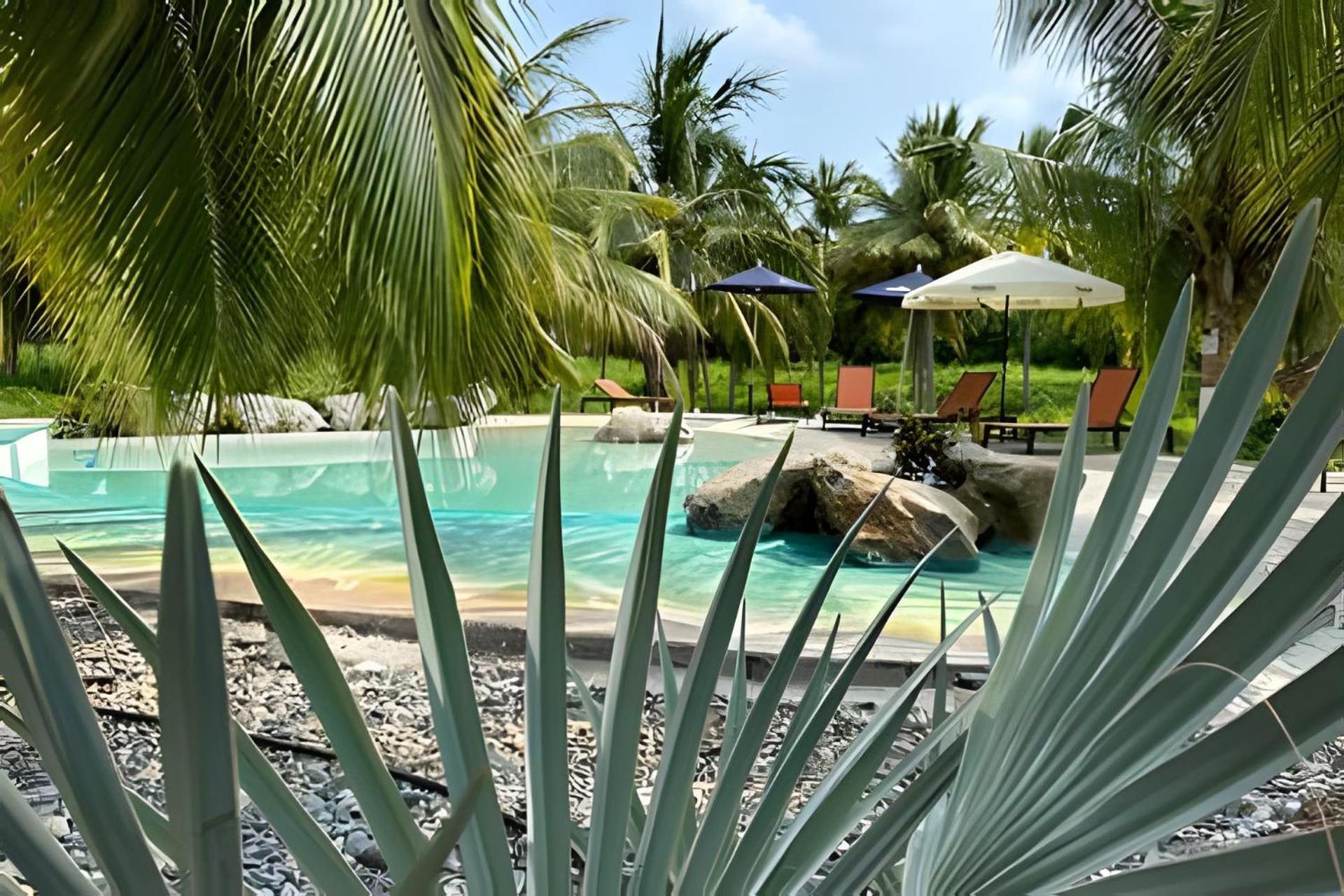 Casa Las Palmas Playa La Saladita Zihuatanejo Eksteriør bilde