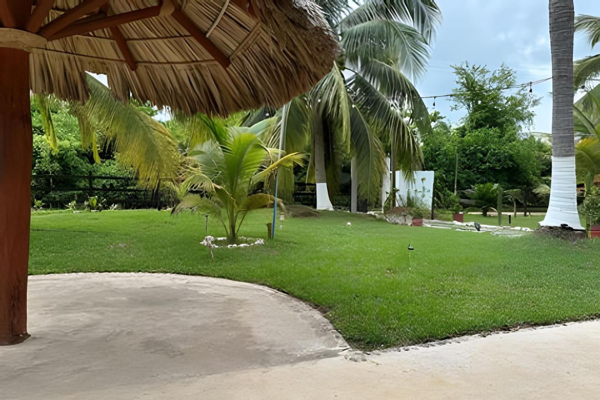 Casa Las Palmas Playa La Saladita Zihuatanejo Eksteriør bilde