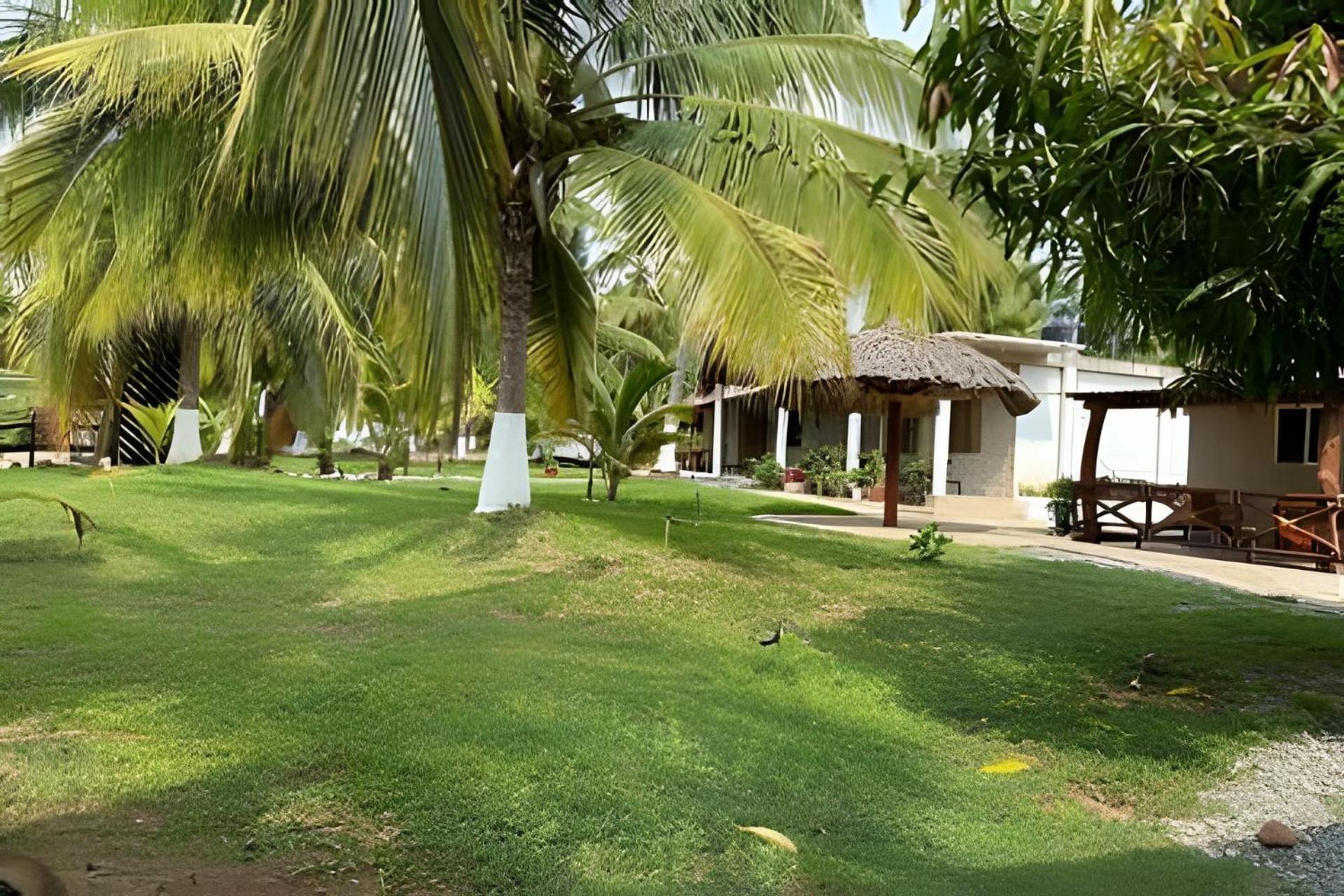 Casa Las Palmas Playa La Saladita Zihuatanejo Eksteriør bilde