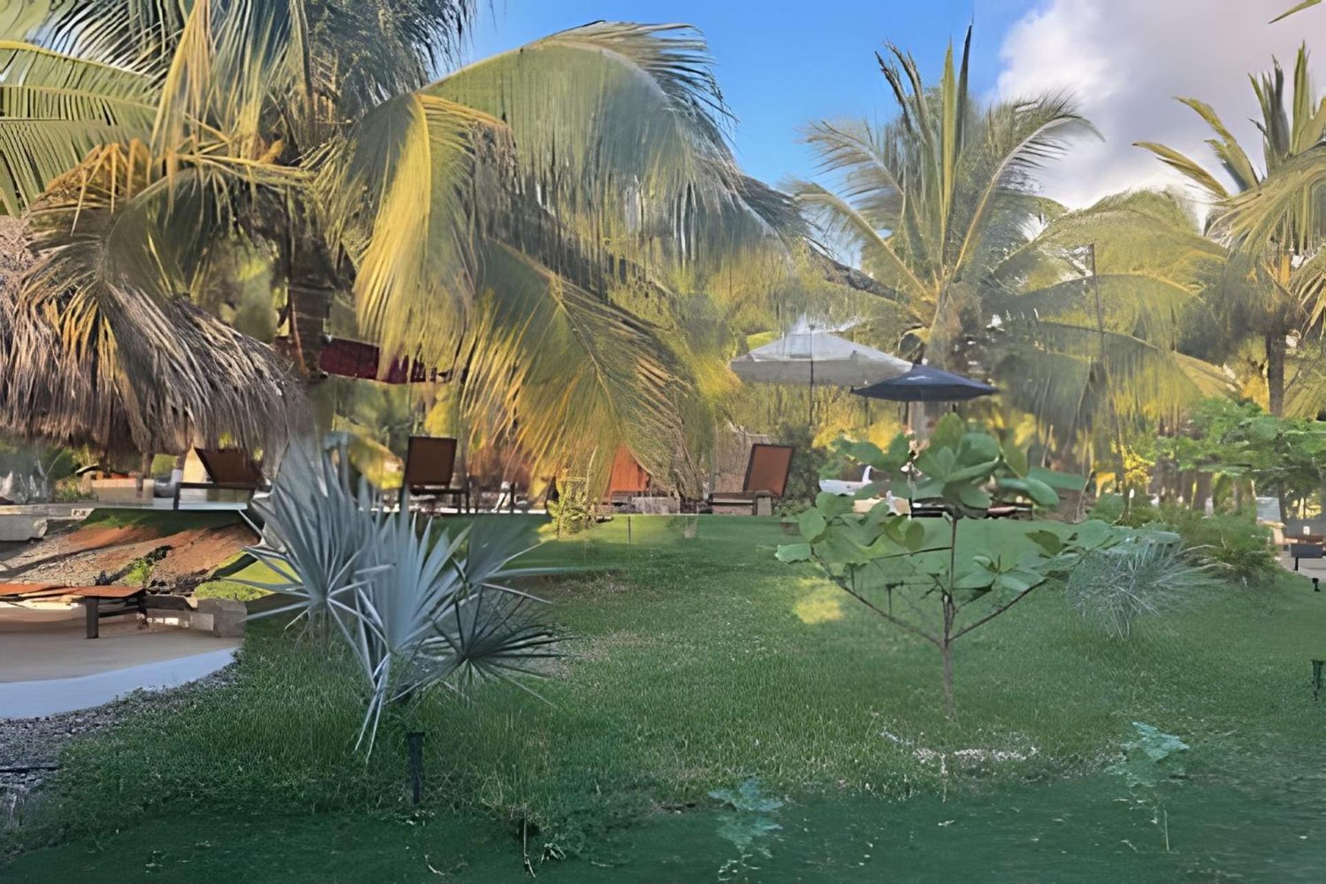 Casa Las Palmas Playa La Saladita Zihuatanejo Eksteriør bilde