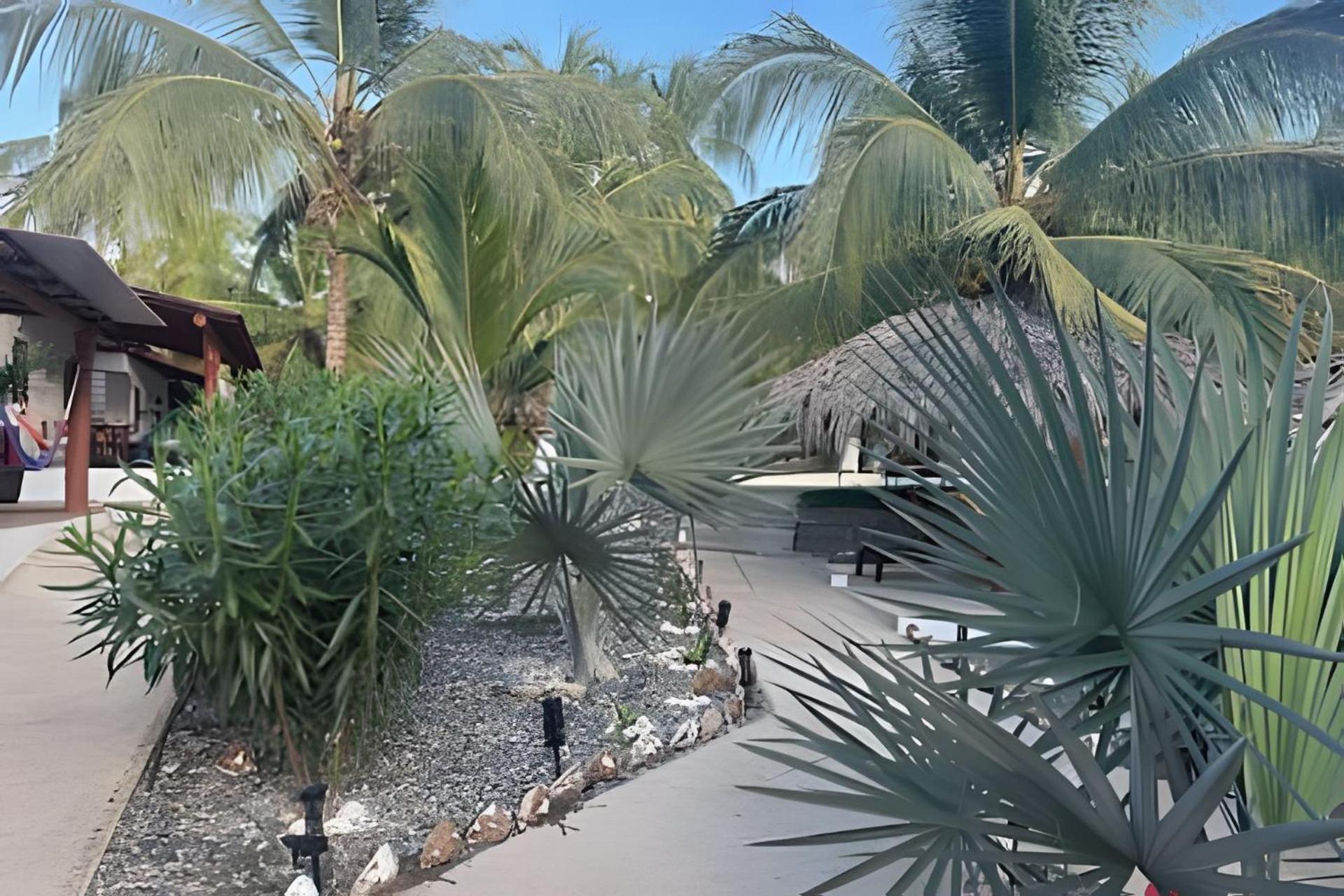 Casa Las Palmas Playa La Saladita Zihuatanejo Eksteriør bilde