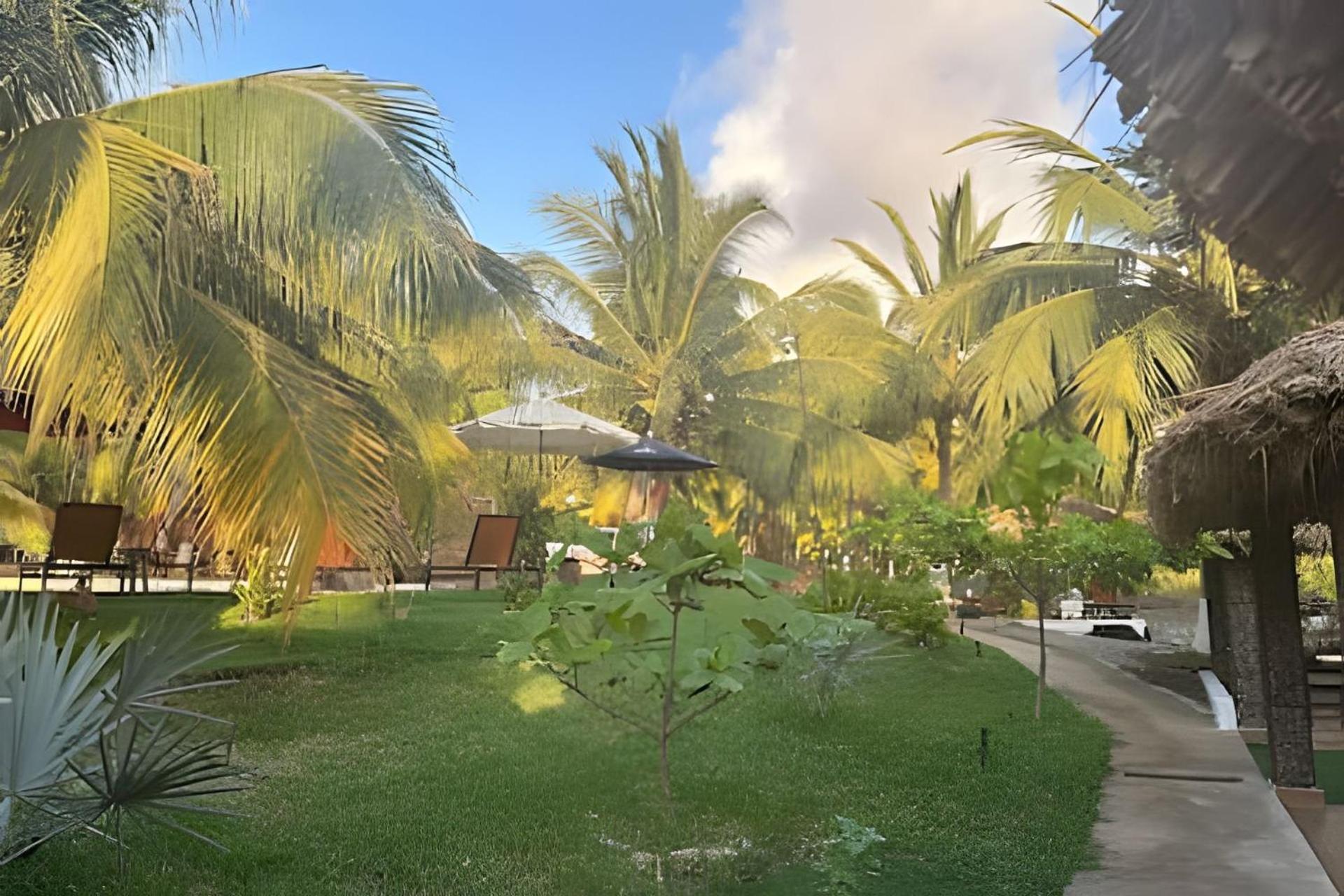 Casa Las Palmas Playa La Saladita Zihuatanejo Eksteriør bilde