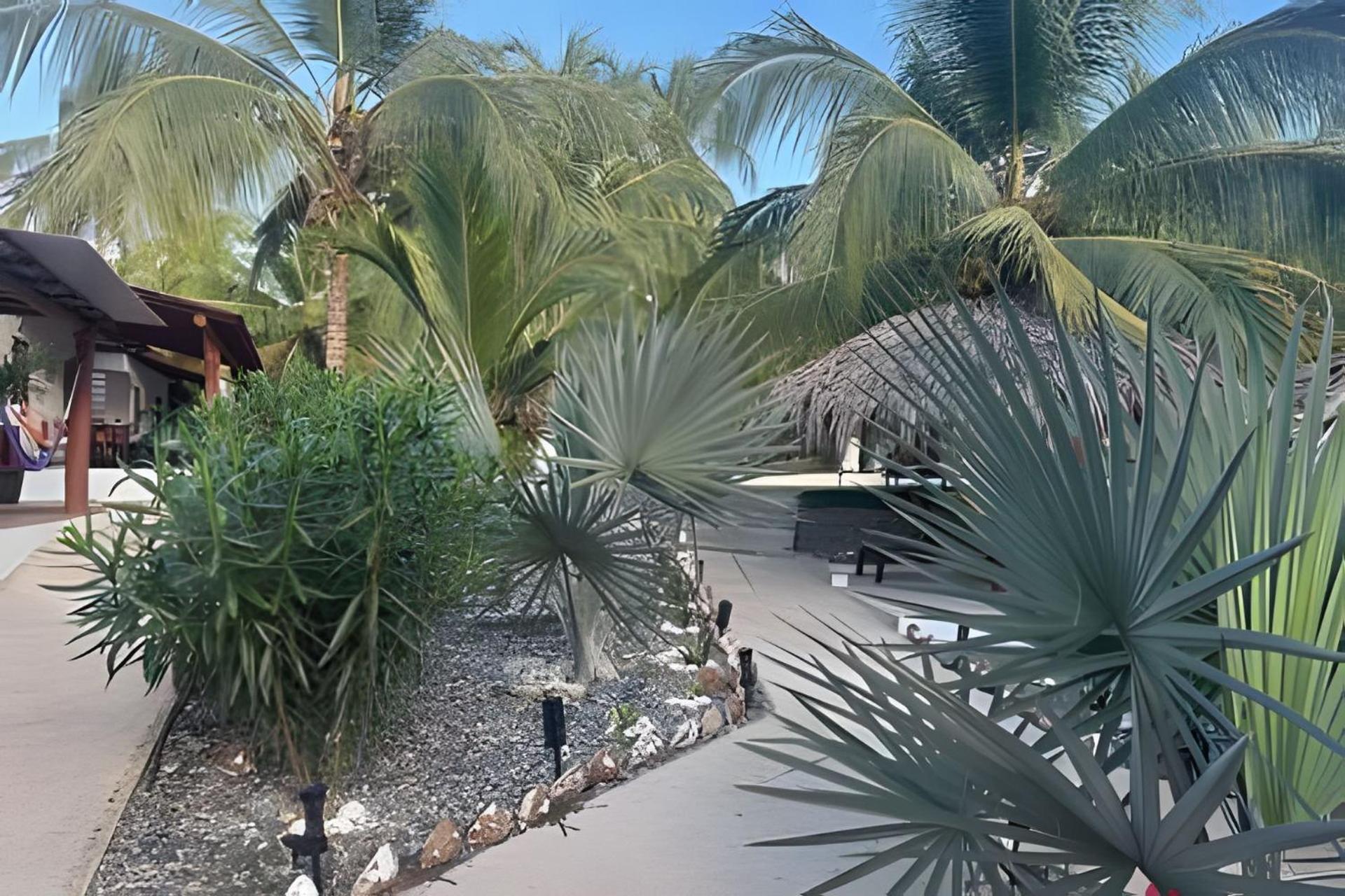 Casa Las Palmas Playa La Saladita Zihuatanejo Eksteriør bilde