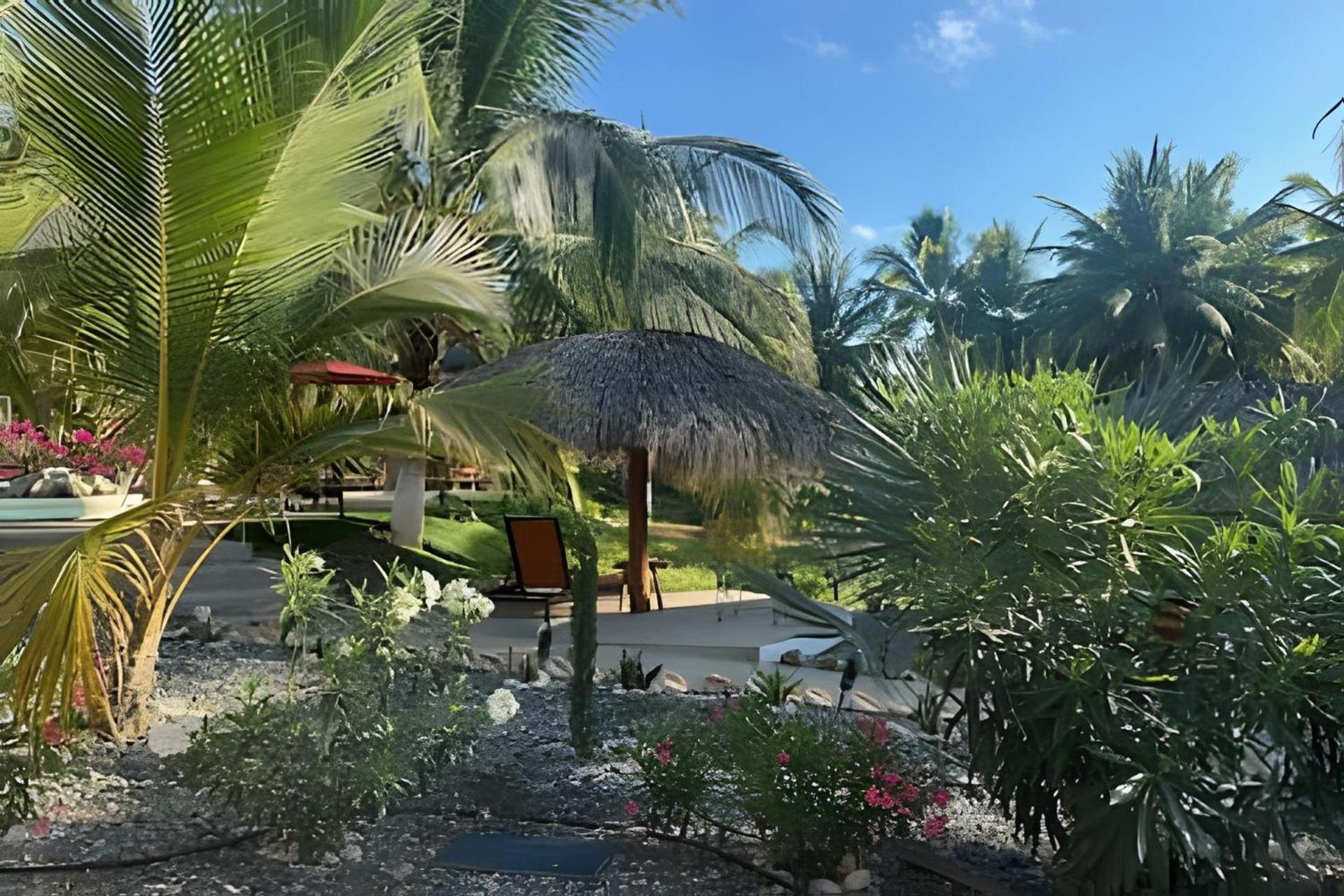 Casa Las Palmas Playa La Saladita Zihuatanejo Eksteriør bilde