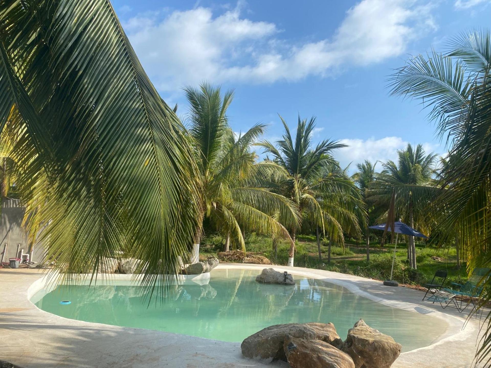 Casa Las Palmas Playa La Saladita Zihuatanejo Eksteriør bilde